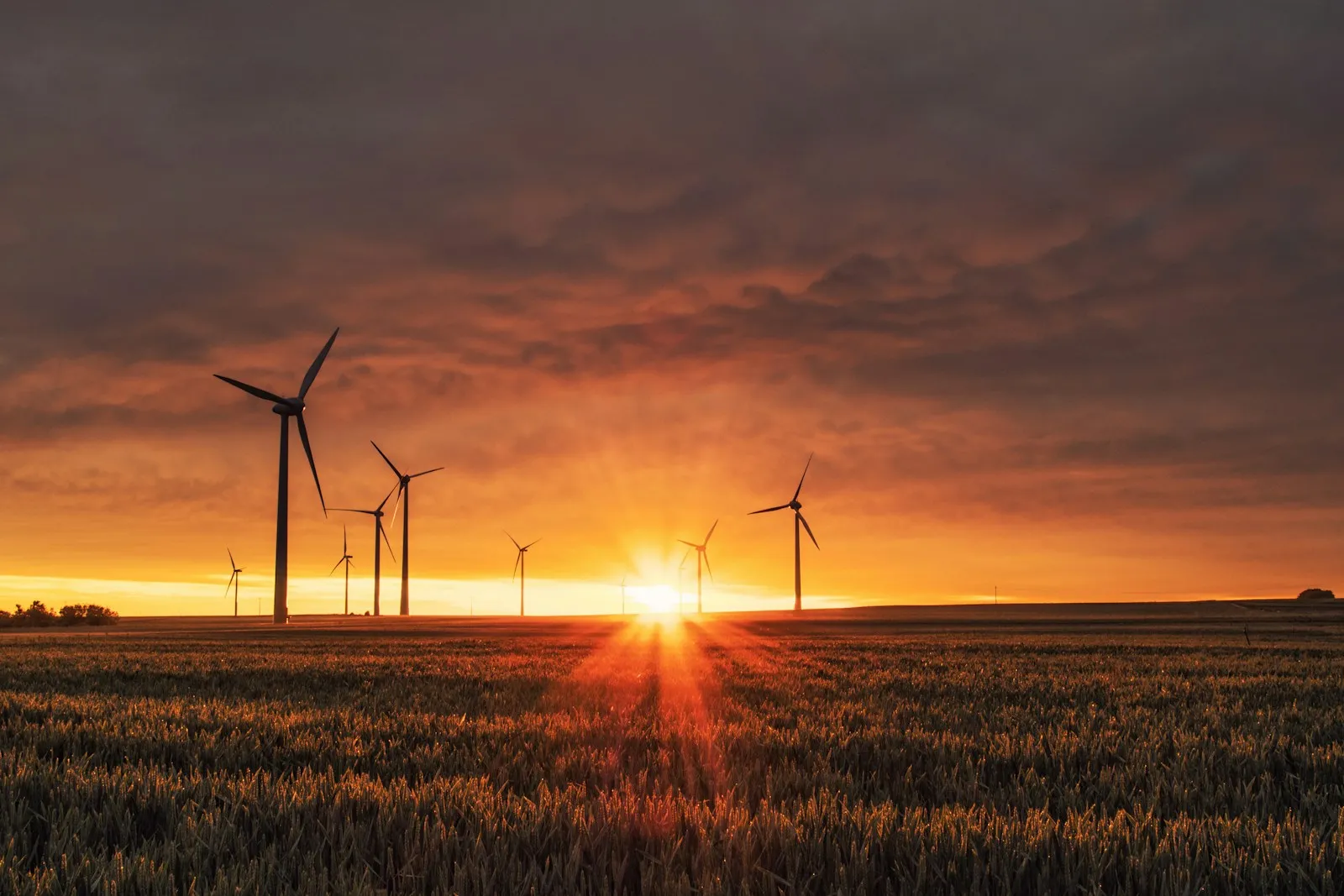 Wind Turbines on Green Hills